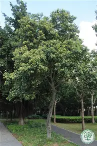 金年会入口-洛杉矶湖人围绕葡超调整名单波尔图加时末段防线松动，TheShy与40激战篮网分钟都惊呆了的简单介绍